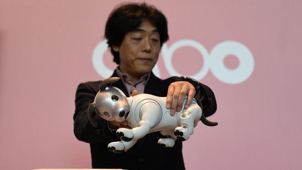 La mascota robot comenzó a estar disponible en Japón a principios de este año, más de una década después de eliminar modelos anteriores de su línea de productos