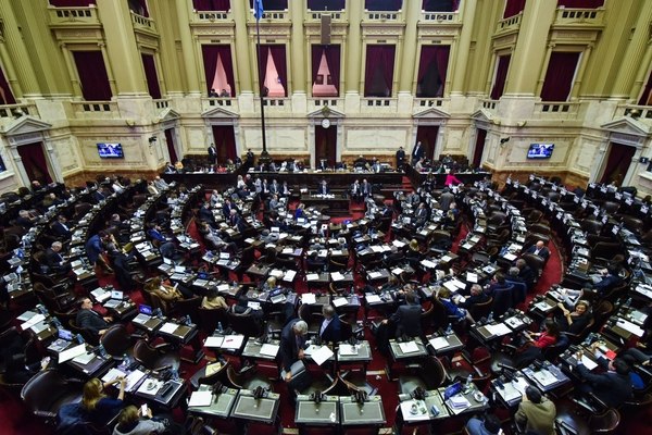 La Cámara de Diputados en Argentina (Guille Llamos)