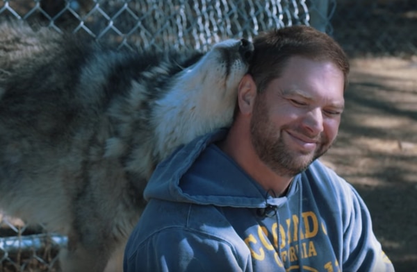 Jim Minick, el administrador del Centro de Rescate de Animales Lockwood, es veterano él mismo y asegura que cuando los lobos te aceptan “eso tiene un significado profundo”