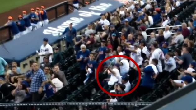 papa heroe salva a sus hijos de un peligroso batazo en mlb papa heroe salva a sus hijos de un peligroso batazo en mlb
