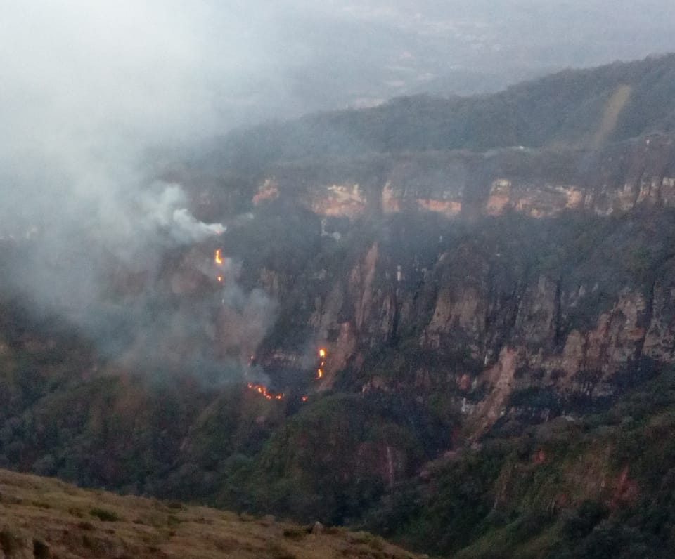 Registran incendio de magnitud en el  parque nacional Aguaragüe de Tarija