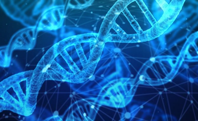 El genoma humano podría contener un 20% menos de genes codificantes