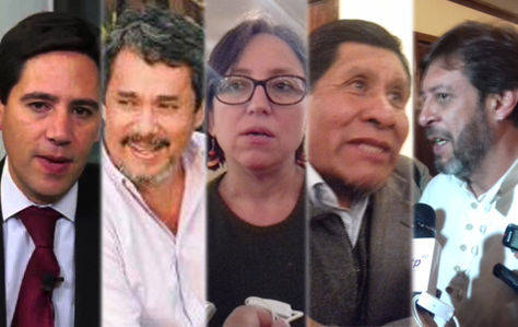 Romero, Molina, Canedo, Guarachi y Mendoza, los cinco consultores que diseñaron la Ley de Organizaciones Políticas.