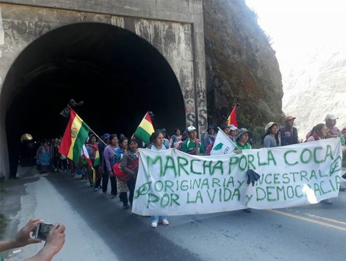 La marcha de cocaleros de Los Yungas llega hoy a la ciudad de La Paz.