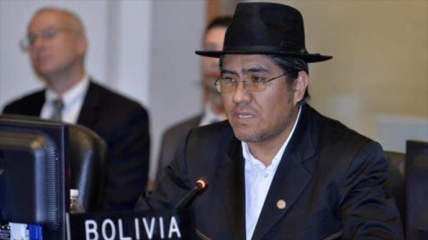 El embajador de Bolivia ante la Organización de Estados Americanos (OEA), Diego Pary, durante una reunión del organismo.