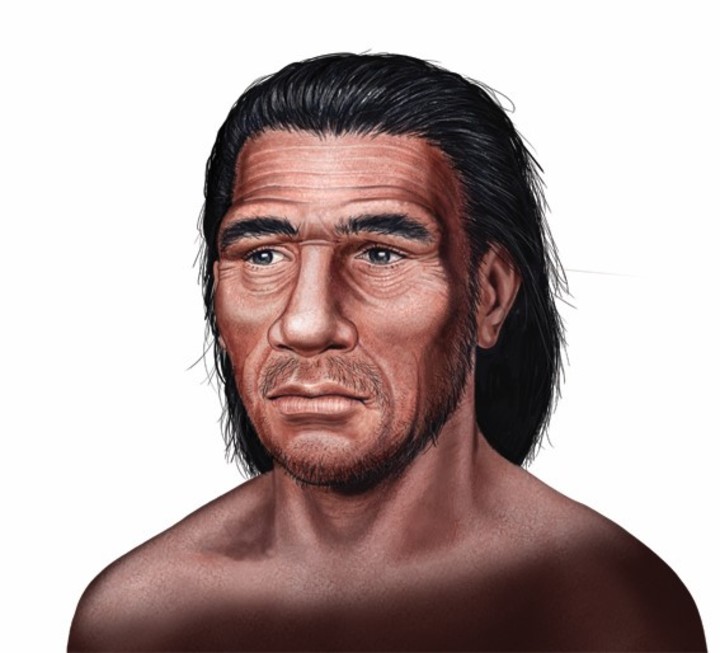 Homo neanderthalensis. Vivió hace 230 mil años. Su cráneo era alargado y robusto. Su nariz, amplia y de aletas prominentes; y poseía una mandíbula poderosa. /Ilustración: Néstor Canavarro.