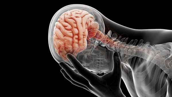 Un software logró por primera vez decodificar la actividad cerebral que registró un implante para evaluar el estado de ánimo de siete pacientes.