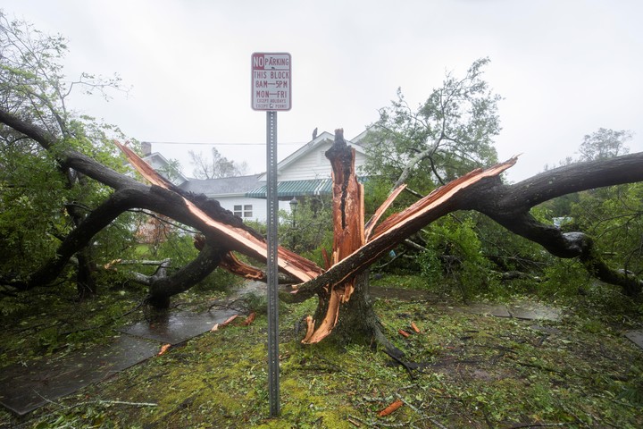 JJL01. WILMINGTON (ESTADOS UNIDOS), 14/09/2018.- Un árbol partido tras el paso del huracán Florence, en Wilmington, Carolina del Norte, EE.UU., el 14 de septiembre del 2018. Florence, que tocó hoy tierra en Carolina del Norte continúa perdiendo fuerza, pero avanza lentamente dejando inundaciones en partes de las Carolinas. EFE/Jim Lo Scalzo