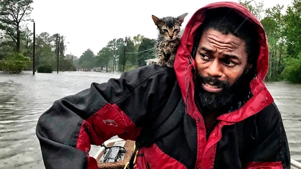 Robert Simmons Jr. y su gato “Sobreviviente” (Andrew Carter/The News & Observer via AP)