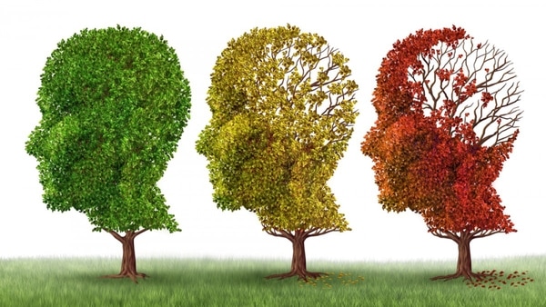 Análisis de los datos del Proyecto Talento comprobaron la relación entre capacidades cognitivas y demencia.
