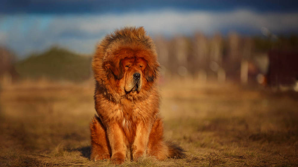 Foto: Foto: iStock.