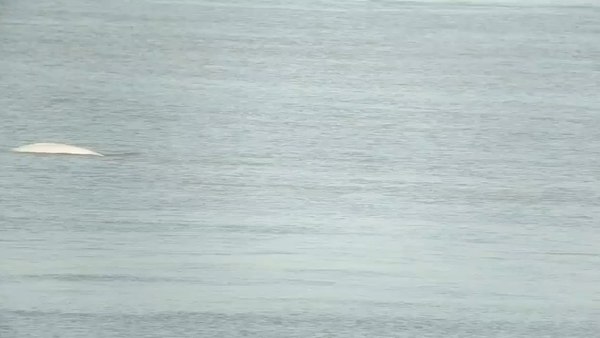 El Támesis es considerado el río más importante de Inglaterra