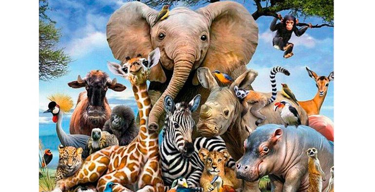 DÃ­a Mundial de los Animales