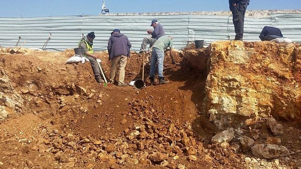 Trabajadores excavan en la fosa común