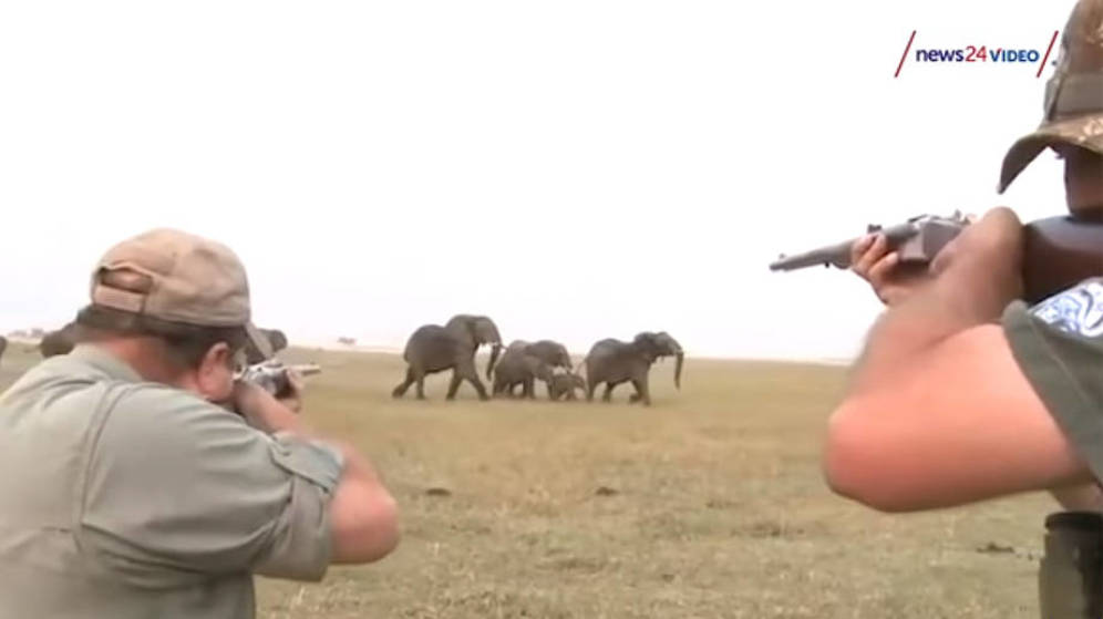 Foto: Los cazadores, en el momento de abrir fuego (Foto: Youtube)