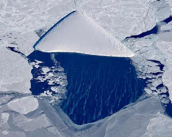 “Pizzaberg”, el iceberg con forma de pizza detectado por los científicos en la zona del desprendimiento del A68, uno de los bloques de hielos más grandes registrados (NASA/IceBridge)