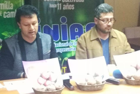 El director general del Iniaf, Carlos Osinaga Romero (i), en conferencia de prensa da a conocer las variedades de papa con alto grado de hierro y zinc.