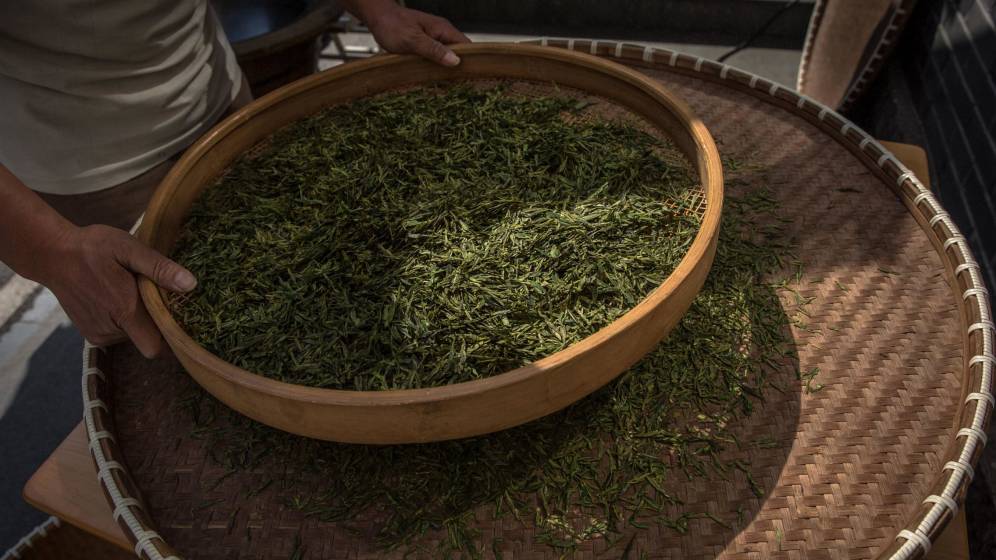 Foto: Té verde