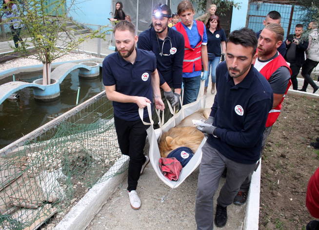 El zoo de Fier, clausurado (EFE EPA/Malton Dibra)