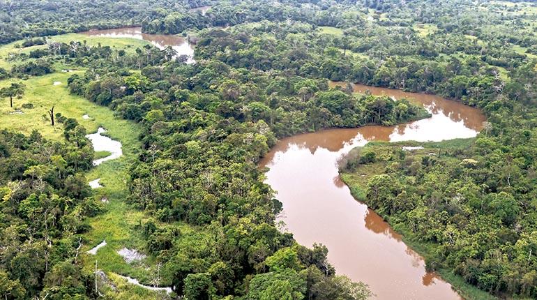 Vista panorámica de parte de la amazonia boliviana. | Los Tiempos