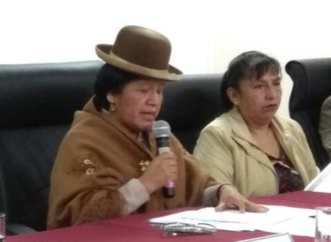 La nueva presidenta del TSE, María Eugenia Choque, se dirige a la prensa.