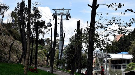 Arboles que fueron talados en la Avenida del Poeta cuando estaba en construcción la Linea Celeste de Mi Teleférico. (Foto: Pedro Laguna)