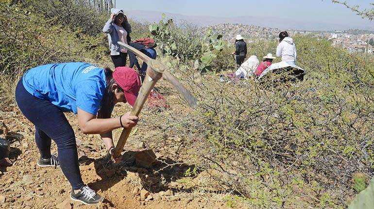 Ciudadanos durante una jornada de reforestación en el Cristo de la Concordia, | José Rocha