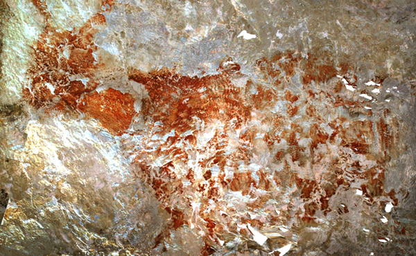 Una de las vacas salvajes que aparecieron en una cueva de Borneo y resultaron la pintura rupestre figurativa más antigua del mundo. (Pindi Setiawan/Instituto de Tecnología de Bandung)