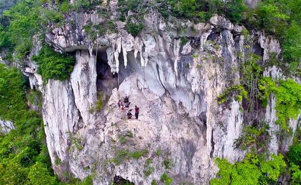 La cueva se halla en la selva de Borneo. (Pindi Setiawan/Instituto de Tecnología de Bandung)