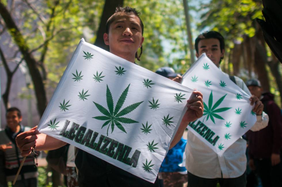 ManifestaciÃ³n a favor de la legalizaciÃ³n de la marihuana en MÃ©xico.