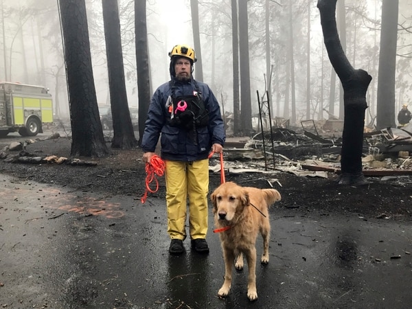 Eric Darling y su perro Wyatt son parte del equipo de búsqueda del condado Orange en el sur de California, uno de varios equipos que hacen una segunda búsqueda de un parque para casas rodantes después del mortal incendio en Paradise, California, el viernes 23 de noviembre de 2018. (AP Foto/Kathleen Ronayne)