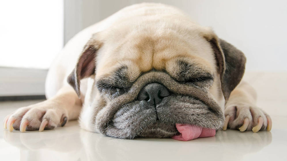 Foto: Foto: iStock.
