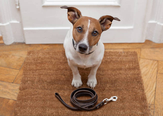 Foto: iStock.