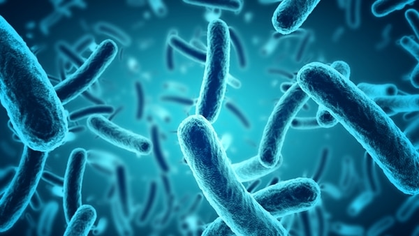 Un estudio encontró restos de 10 bacterias en pantallas táctiles de McDonald’s en Reino Unido (Foto: iStock)
