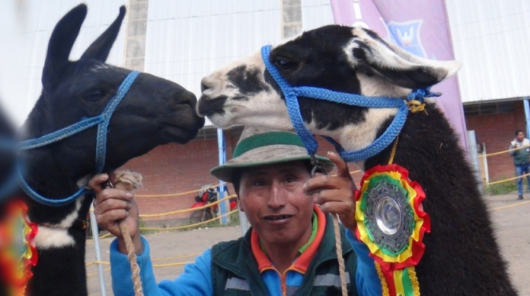 foto CIPCA