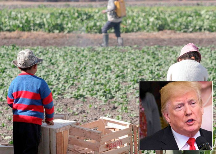 TRUMP PIDE MODIFICAR LA NORMATIVA SOBRE TRABAJO INFANTIL EN BOLIVIA.