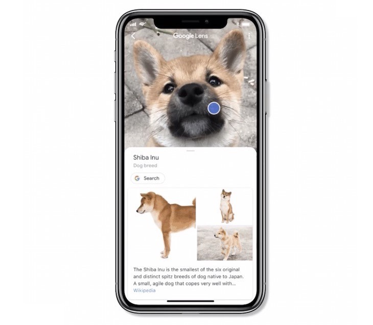 Google Lens