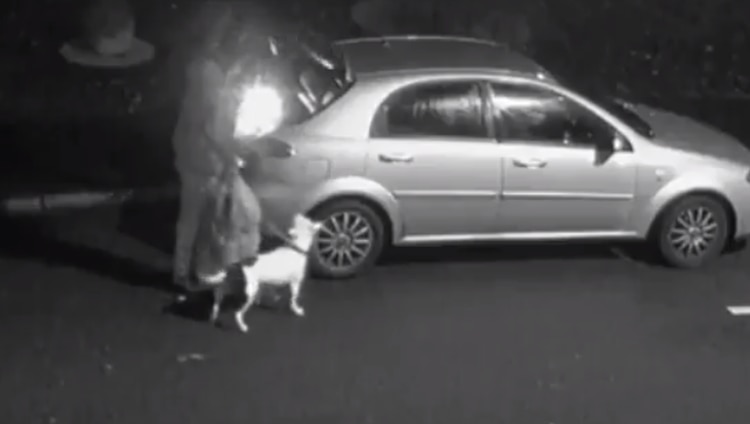 El hombre saca un bulto de la cajuela del auto (Captura: Twitter/Indpendent)