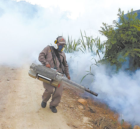 Fumigación.Un técnico rocía con biolarvicidas en Caranavi.