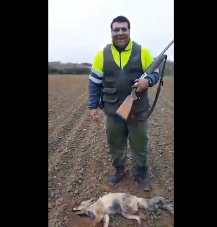 (Foto: Twitter @PACMA)