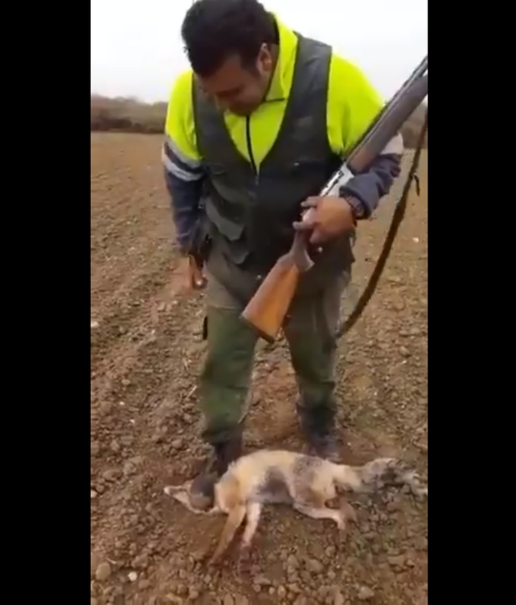 (Foto: Twitter @PACMA)