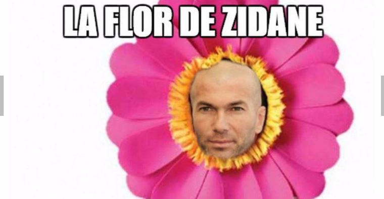 La flor de Zidane hizo las delicias del madridismo... hasta que se marchitó al final de la pasada temporada