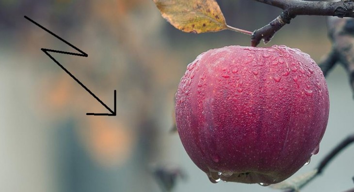 apple