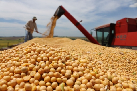 Exportaci N De Soya Boliviana De Llegar A Millones De