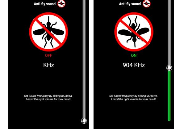 mosquitos