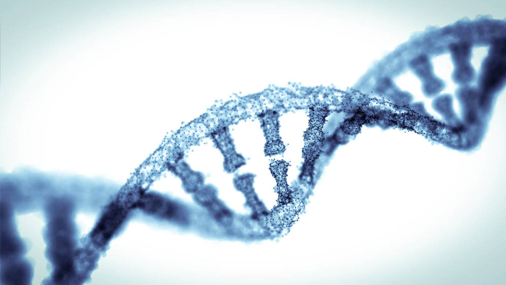Foto: Foto: iStock.