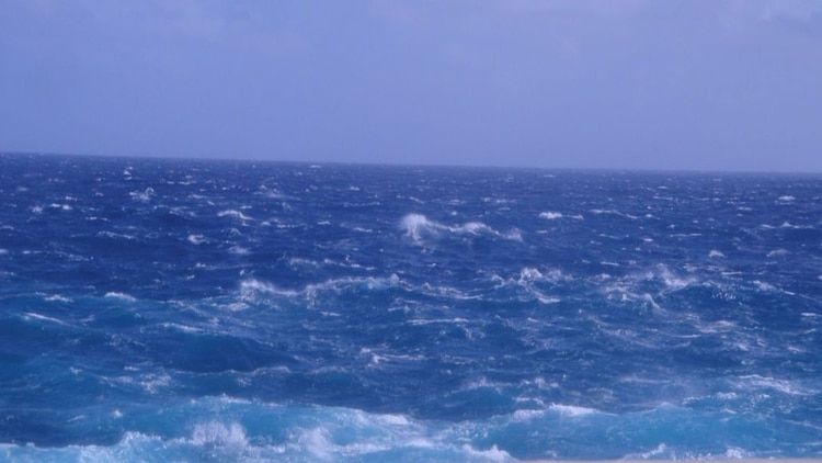 El agua de los océanos se calienta un 40% más rápidamente de lo estimado en 2014. (AFP)