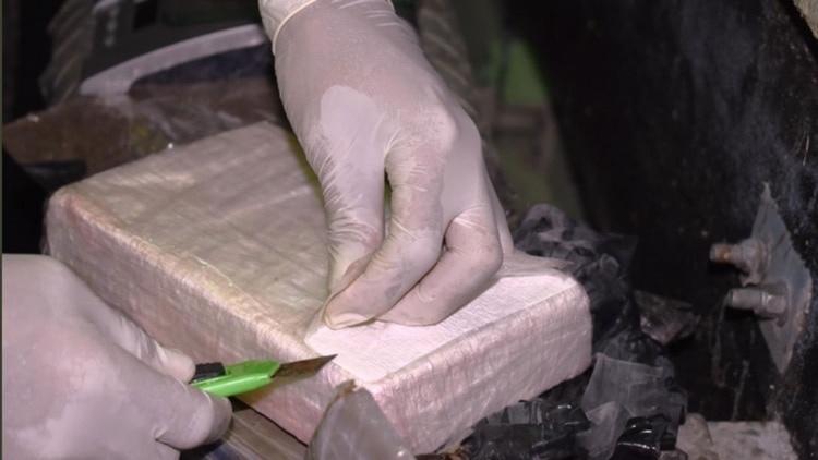 En la vivienda que servía de laboratorio fueron encontraron 8.500 litros de sustancias químicas para elaborar cocaína.