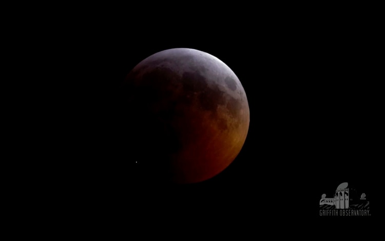 Esta imagen proporcionada por el Observatorio Griffith de Los Ángeles muestra un destello brillante producto de un impacto en la Luna (parte inferior izquierda), durante el eclipse lunar que comenzó el domingo 20 de enero de 2019. (Observatorio Griffith vía AP)
