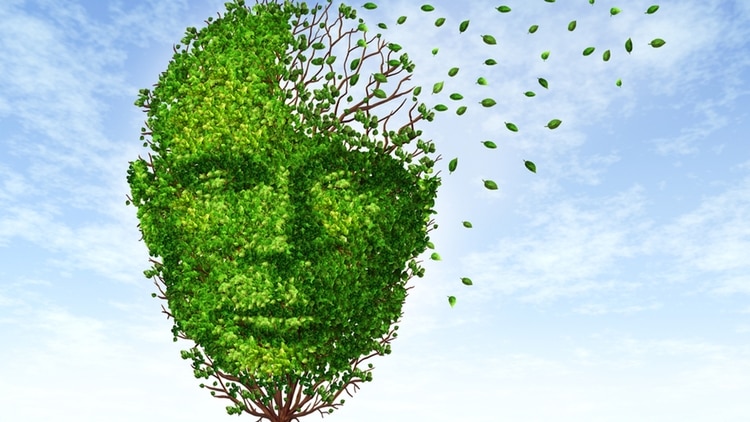 El estudio presentó el primer caso de reversión de síntomas del Alzheimer con OHB. (Shutterstock)